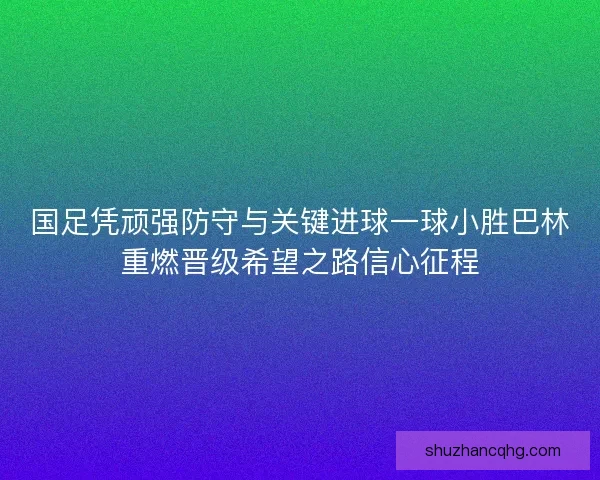 国足凭顽强防守与关键进球一球小胜巴林重燃晋级希望之路信心征程