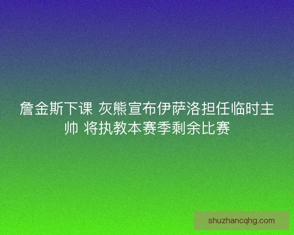 詹金斯下课 灰熊宣布伊萨洛担任临时主帅 将执教本赛季剩余比赛