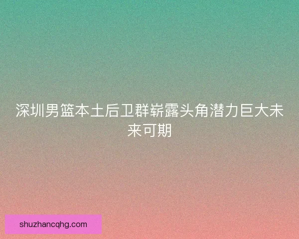 深圳男篮本土后卫群崭露头角潜力巨大未来可期